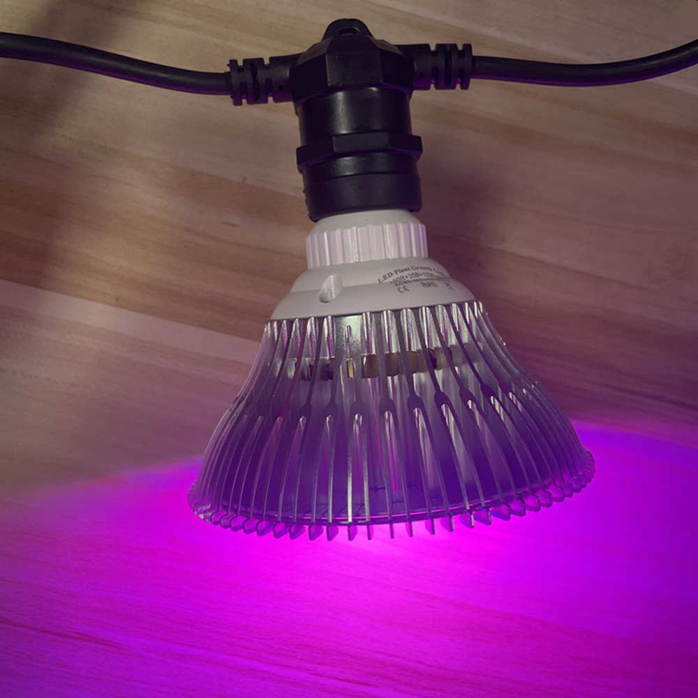 Kabel LED 10M Kelas Komersial  - Outdoor Lighting Beacon ulasan dan harga